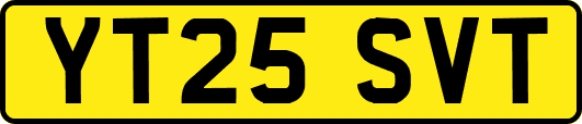 YT25SVT