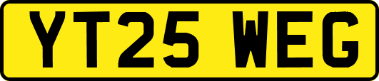 YT25WEG