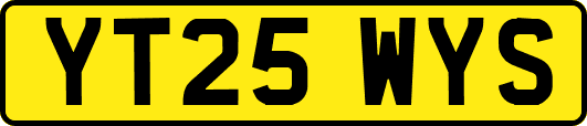 YT25WYS
