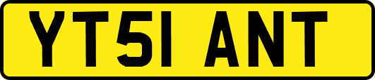 YT51ANT