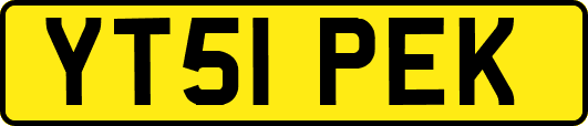 YT51PEK