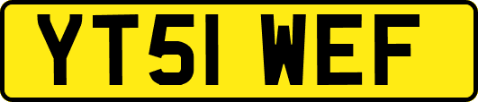 YT51WEF