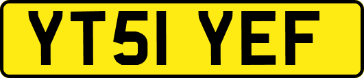 YT51YEF