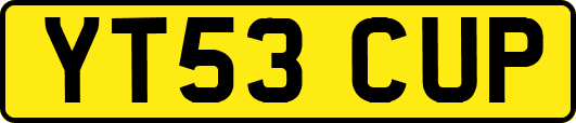 YT53CUP