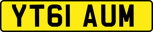 YT61AUM