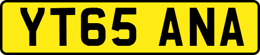 YT65ANA