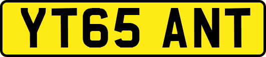 YT65ANT