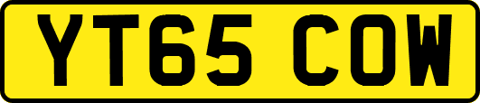 YT65COW