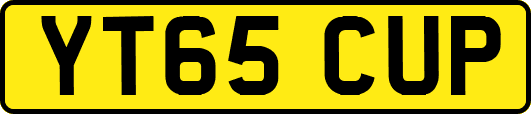 YT65CUP