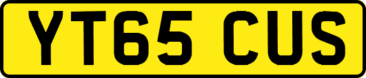 YT65CUS