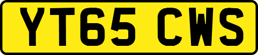 YT65CWS