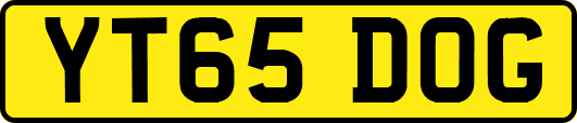YT65DOG