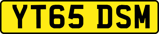 YT65DSM