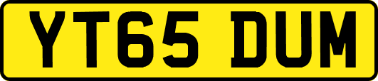 YT65DUM