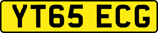 YT65ECG