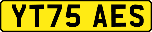 YT75AES