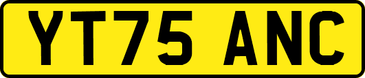 YT75ANC