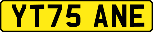 YT75ANE