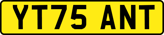YT75ANT