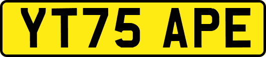 YT75APE