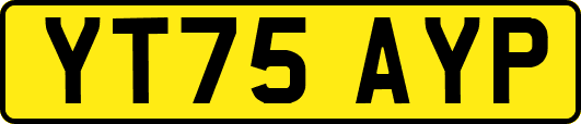 YT75AYP