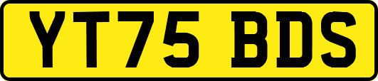 YT75BDS
