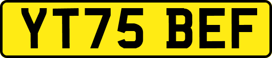 YT75BEF