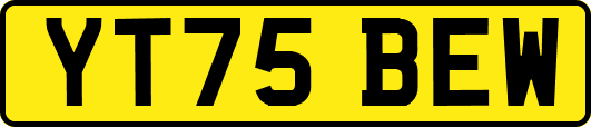 YT75BEW