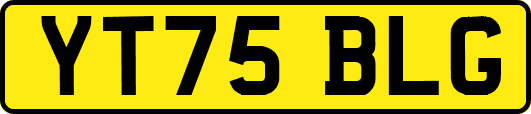 YT75BLG