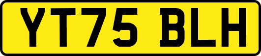 YT75BLH