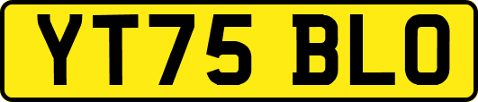 YT75BLO