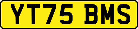 YT75BMS
