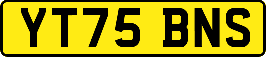 YT75BNS