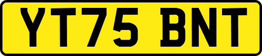 YT75BNT