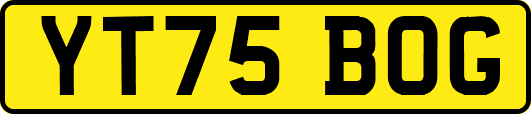 YT75BOG