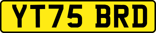 YT75BRD