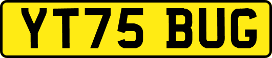 YT75BUG