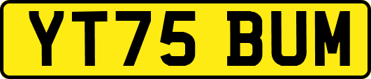 YT75BUM