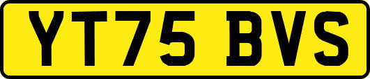 YT75BVS