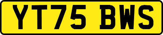 YT75BWS