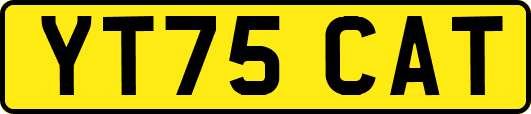 YT75CAT