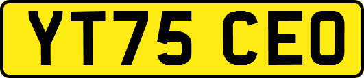 YT75CEO