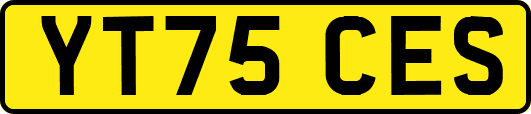 YT75CES