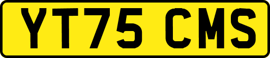 YT75CMS