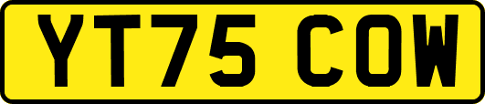 YT75COW