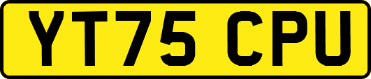YT75CPU