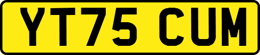 YT75CUM