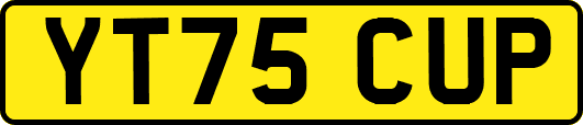YT75CUP