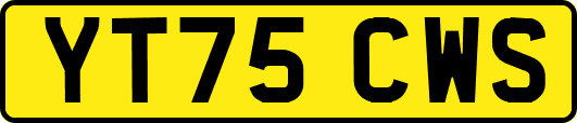 YT75CWS