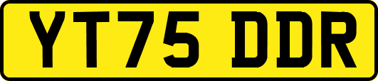 YT75DDR